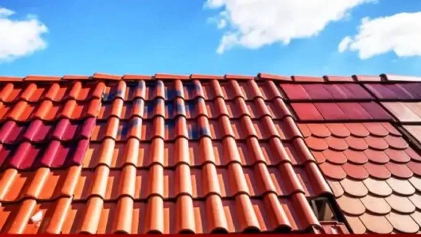 فروش سفال طبرستان خودرنگ و رنگی در مشهد فروش سفال طبرستان خودرنگ و رنگی در مشهد